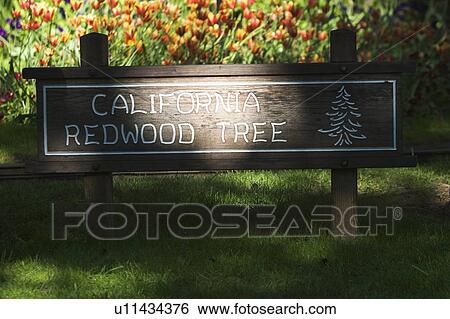 Stock Photograph - Day, Displayed, Figure, Garden, Green. Fotosearch