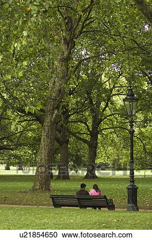 Day, Outdoors, Trees View Large Photo Image Stock Image - Day, Outdoors, Trees. Fotosearch
