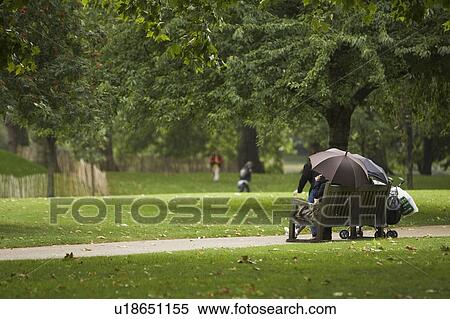 Day, Outdoors, Trees View Large Photo Image Stock Photography - Day, Outdoors, Trees. Fotosearch