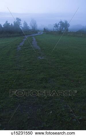 Dusk, Field, Fog, Generic Location, Grass View Large Photo Image Stock Image - Dusk, Field, Fog, Generic Location, Grass. Fotosearch
