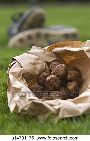 Stock Photograph - Field, Grass, Ground. Fotosearch