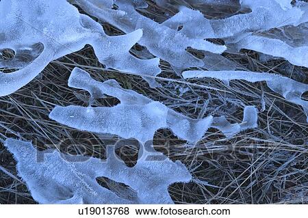 layer, thin, melting, surface, nature, freezing View Large Photo Image Stock Photo - layer, thin, melting, surface, nature, freezing. Fotosearch