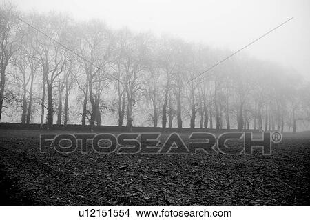 natural, environment, day, serene, calm, outdoors View Large Photo Image Picture - natural, environment, day, serene, calm, outdoors. Fotosearch