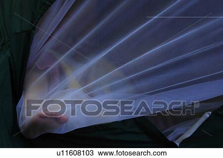 Stock Image - net, gauze, mesh, cover, material, fabric. Fotosearch