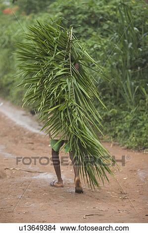 Picture - one person, agriculture. Fotosearch