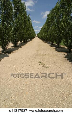 Stock Photo - outdoor, nature, natural, environment, climate, ground. Fotosearch