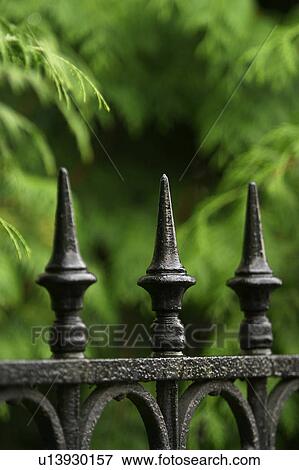 Stock Photo - outdoor, nature, natural, environment, beauty, climate. Fotosearch