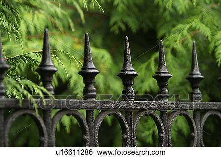 Stock Photograph - outdoor, nature, natural, environment, leaves, gate. Fotosearch