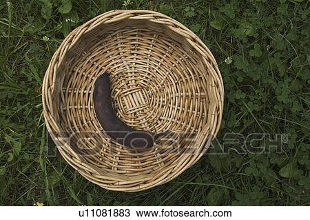 Outdoors, Day View Large Photo Image Stock Image - Outdoors, Day. Fotosearch