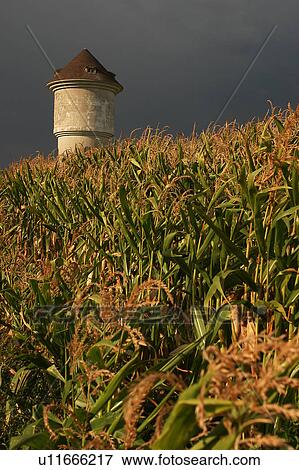 Stock Photo - outdoors, environment, beauty, climate, condition, ground. Fotosearch