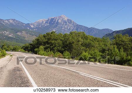 Stock Image - outdoors, natural, foliage, flora, greenery, expanse. Fotosearch