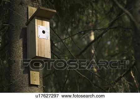 Stock Photo - Outdoors, Wooded Box. Fotosearch