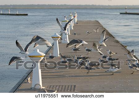Stock Image - platform, bridge, pier, dock, deck, wharf. Fotosearch