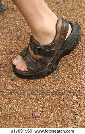 Stock Image - slippers, leather, slip on, footgear, footwear, outfit. Fotosearch