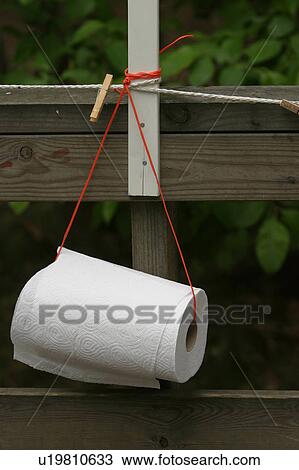 Stock Image - supplies, roll, hygiene, toilet paper, sanitation, sanitary. Fotosearch
