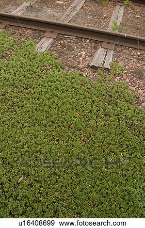 Stock Photo - travel, commute, transportation, commuting, commuter, locomotive. Fotosearch