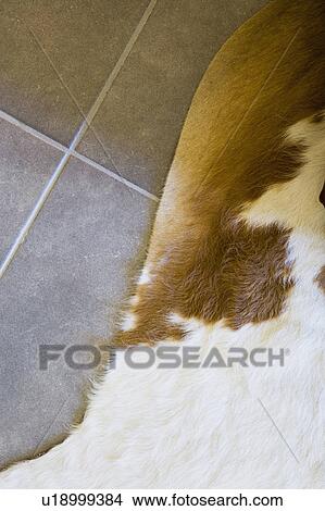 Picture - Cow Hide on Tile Floor. Fotosearch