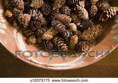 Detail of bowl filled with miniature pinecones. View Large Photo Image Stock Image - Detail of bowl filled with miniature pinecones. . Fotosearch