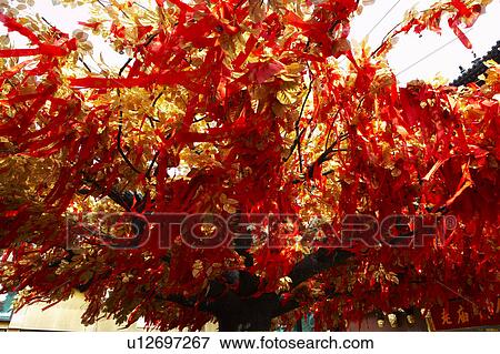Stock Photo - Notes hung on wishing tree. Fotosearch