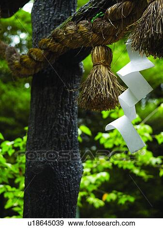 Sacred Rope With Paper and Flax Pendants View Large Photo Image Stock Photo - Sacred Rope With Paper and Flax Pendants. Fotosearch