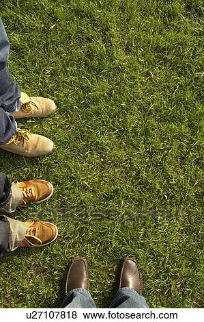 Three men standing on Lawn, Overhead view View Large Photo Image Stock Photo - Three men standing on Lawn, Overhead view. Fotosearch