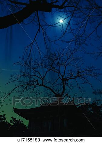 Stock Image - Tree Silhouette and Moon, West Lake, Hangzhou, China. Fotosearch