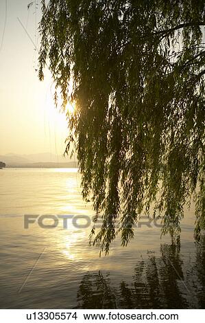 West Lake in Hangzhou, Zhejiang Province, People Republic of China View Large Photo Image Picture - West Lake in Hangzhou, Zhejiang Province, People Republic of China. Fotosearch