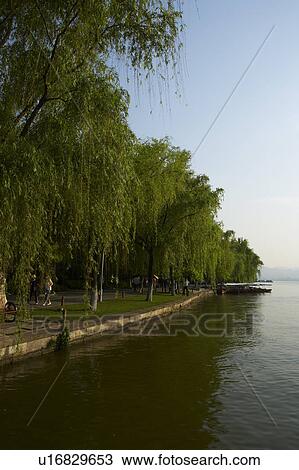 Stock Image - West Lake in Hangzhou, Zhejiang Province, People Republic of China. Fotosearch