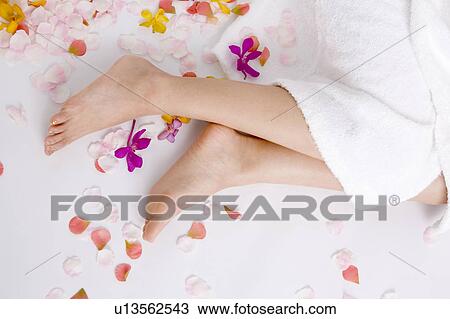 Flower petals surrounding women's feet View Large Photo Image Stock Image - Flower petals surrounding women's feet. Fotosearch