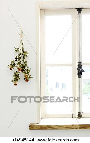 Window View Large Photo Image Picture - Window. Fotosearch