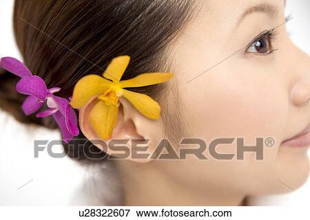 Woman with a floral hair ornament View Large Photo Image Stock Photo - Woman with a floral hair ornament. Fotosearch
