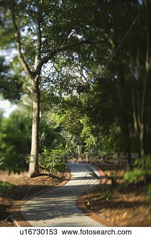 Footpath winding through forest View Large Photo Image Stock Image - Footpath winding through forest. Fotosearch