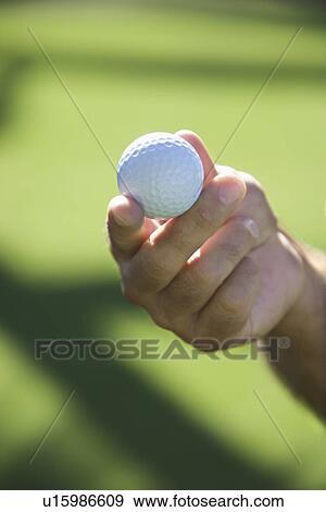 Hand holding a golf ball View Large Photo Image Stock Photo - Hand holding a golf ball. Fotosearch