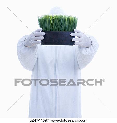 Stock Photo - Man in biohazard suit holding pot of grass . Fotosearch