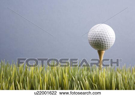 Studio shot of golf ball resting on tee in grass View Large Photo Image Stock Image - Studio shot of golf ball resting on tee in grass. Fotosearch