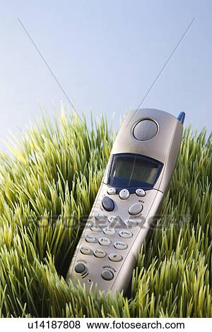 Studio shot of landline telephone placed in grass View Large Photo Image Stock Photo - Studio shot of landline telephone placed in grass. Fotosearch