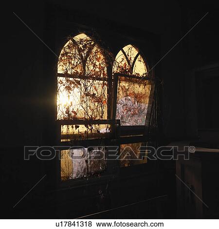 Sunlight glowing through dilapidated arched windows covered in vines creating dreamy mood View Large Photo Image Stock Photo - Sunlight glowing through dilapidated arched windows covered in vines creating dreamy mood. Fotosearch