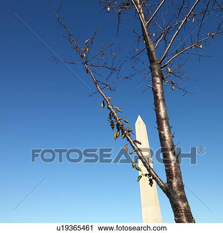 Stock Image - Washington Monument in Washington, D. C., USA.. Fotosearch