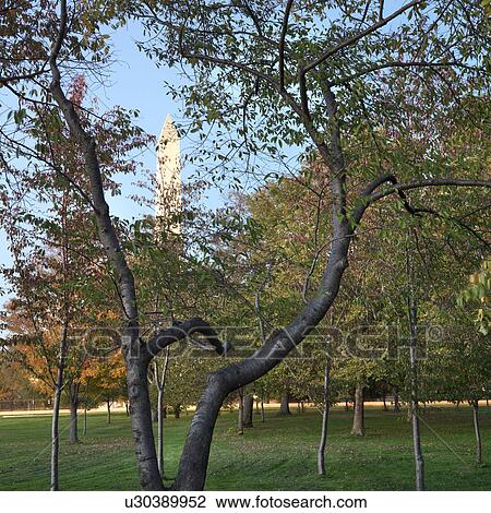 Stock Image - Washington Monument in Washington, D. C., USA.. Fotosearch