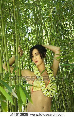 Young adult woman standing in bamboo forest wearing bikini and lei. View Large Photo Image Stock Photo - Young adult woman standing in bamboo forest wearing bikini and lei.. Fotosearch