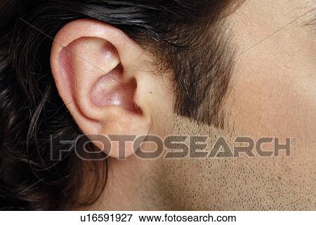 Stock Photo - Beauty shot of man's ear. Fotosearch