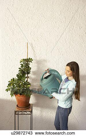 Girl (12-14) watering pot plant View Large Photo Image Stock Image - Girl (12-14) watering pot plant. Fotosearch