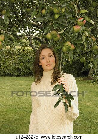 A young female under an apple tree View Large Photo Image Stock Photography - A young female under an apple tree. Fotosearch