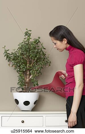 Businesswoman watering plant View Large Photo Image Picture - Businesswoman watering plant. Fotosearch