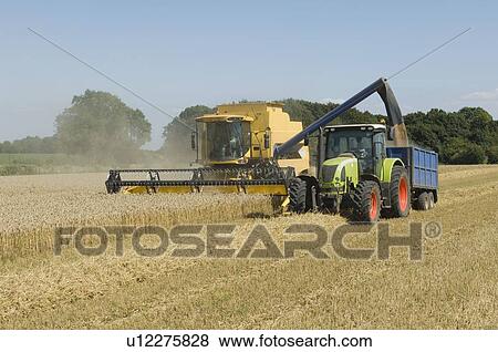 Combine harvester with tractor View Large Photo Image Stock Photo - Combine harvester with tractor. Fotosearch