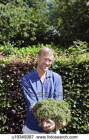 Stock Photo - Man holding cut grass. Fotosearch