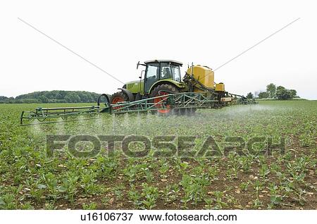 Tractor in field spraying crop View Large Photo Image Stock Photo - Tractor in field spraying crop. Fotosearch