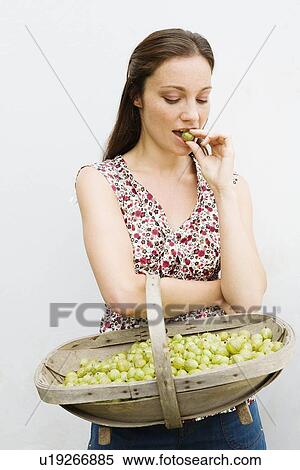 Woman with basket, tasting gooseberries View Large Photo Image Stock Photography - Woman with basket, tasting gooseberries. Fotosearch