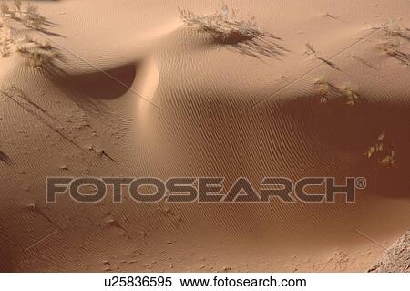 Jordan, Wadi-Rum, desert, sand, dune View Large Photo Image Stock Photography - Jordan, Wadi-Rum, desert, sand, dune. Fotosearch