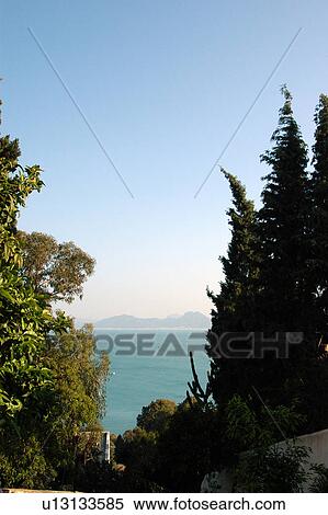Tunis, Tunisia, arabic, islam, Sidi, Bou, Said View Large Photo Image Stock Photography - Tunis, Tunisia, arabic, islam, Sidi, Bou, Said. Fotosearch